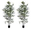 TWO Pre-Potted 6' Artificial Bamboo Trees with Black REAL BAMBOO TRUNKS