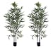 TWO Pre-Potted 6' Artificial Bamboo Trees with Black REAL BAMBOO TRUNKS