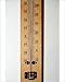 Photographic Prints of Household thermometer from Science Photo Library