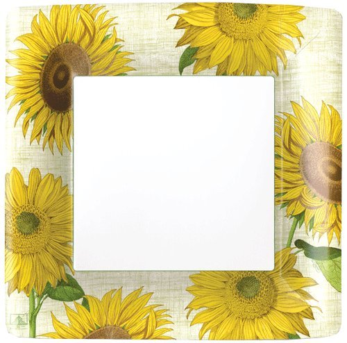 Paper Plates Dinner Size Paper Party Supplies Sunflowers Pack of 16