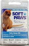 Soft Paws for Small Cats