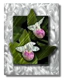 27x35 north woods lady slipper metal art, contemporary home decor, modern wall sculpture