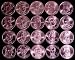 Presidential Dollar Coin Set FULL Complete through 2011 P & D 40 Coins
