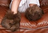 Alpaca Fur Slippers - Dark Brown - XLarge (Dark Brown) (4H x 5W x 11.5D)