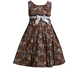 IMAGE OF Bonnie Jean Little Girls 4-6X BROWN BLUE WHITE BUTTERFLY PRINT Special Occasion Wedding Flower Girl Party Dress-4 BNJ-1164B-B31164