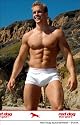 Trunk Underwear - Men's Organic Cotton "Eco-Sport" - 3-Pack - Red Dog Sportswear