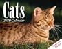 Cats: 2010 Mini Day-to-Day Calendar
