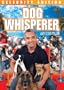 Dog Whisperer: Celebrity Edition