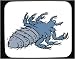Mouse Pad with bug, lice, insect, parasite, mite, louse