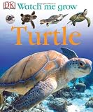 Turtle (Watch Me Grow)
