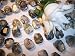 Silver Leaf Jasper Faceted Trapezoid Beads Set of 2