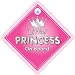 Little Princess on Board, Little princess on board Car Sign, SILVER, Baby on Board Sign, baby on board, Child On Board, Bumper Sticker Style, Princess Signs