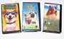 DOG Adventures Collection #1: Lassie (Updated 90s Version); Bingo; Milo and Otis (3pk)