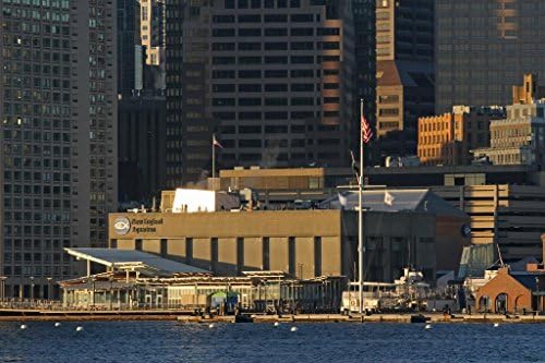 Abstract Canvas Wall Art New England Aquarium Photograph Print on Canvas for Home Decoration Modern Painting Wall Decor One Piece Canvas Art Set(No Frame)