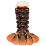 5-6 oz Tristan Lobster Tails