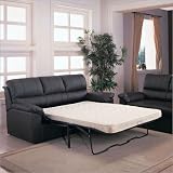 Leather Queen Sleeper Sofa By Coaster Furniture