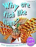 Why are fish like lions?
