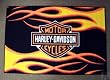 Harley Davidson 39-Inch by 59-Inch Tufted Rug, Flames