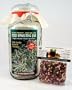 One Gallon Glass Sprouter Jar w/ Sprouting Strainer: Grow Sprouts: Includes 2 Oz. Organic Alfalfa Sprout Seeds & Sprouting Instructions