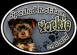 Yorkie Puppy - Spoiled Rotten Oval Dog Magnet for Cars