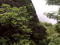 Mountain of Kindjals Mountain of Kindjals