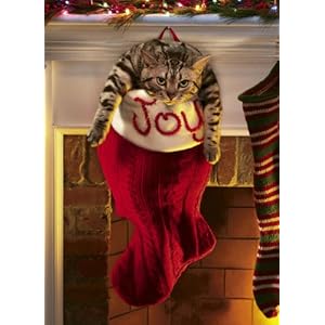 Avanti Christmas Cards, Overstuffed Stocking, 10-Count