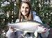 Taxidermy Quality Coho Silver Salmon Fish Wall Mount