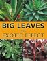 Big Leaves for Exotic Effect
