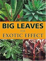 Big Leaves for Exotic Effect