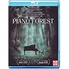 Piano Forest