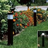 Solar Garden Light 2 Pack