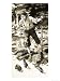 Andrew Lang Art Giclee Poster Print by English School, 18x24