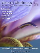 Click to Download Free Kindle Book -> All About Bokeh