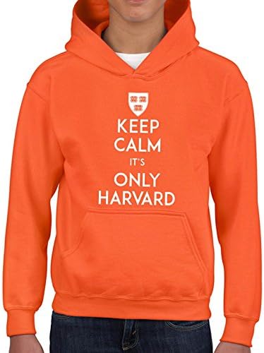 Keep Calm Its Only Harvard Youth Hoodie Printasaurus Orange XL