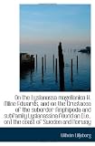 On the Lysianassa magellanica H. Milne Edwards, and on the Crustacea of the suborder Amphipoda and s