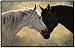 Doormat - D100 Horses Hearts Desire - 18