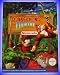 1x Offizielles Lösungsbuch / Offizieller Spieleberater für SNES Super Nintendo Spiel: Donkey Kong Country 1 (deutsch)