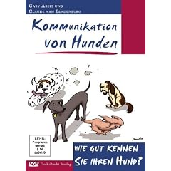 Kommunikation von Hunden: Wie gut kennen Sie ihren Hund?