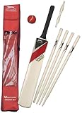 from Slazenger Slazenger V100 Cricket Set