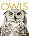 Amazing Animals: Owls