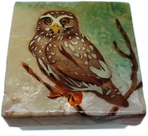 Nature Keepsake Box, Trinket Box, Painted, Capiz Shell Owl Box, 3x3