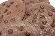 New Grains Gluten Free Brownie Cookies with Chocolate Chips 10 Pack