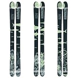 Armada ARV Skis 2010