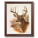 Buck Deer Antler Rack And Doe Picture Animal Wildlife Framed Art Print by 
