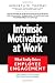 Intrinsic Motivation at Work: What Really Drives Employee Engagement