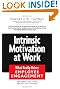 Intrinsic Motivation at Work: What Really Drives Employee Engagement