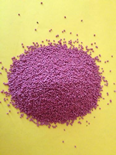 5LBS Medium Red Clover Seed Deer Forage Food Plot