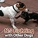 Cujo Control Best Dog Training Collar With Remote-16 Levels Shock & Vibration-Fully Adjustable Electric E Collar for Large, Medium, and Small Dogs-Wireless Waterproof Anti Bark Collar-100% Guarantee!