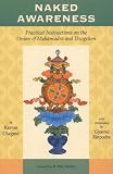 Naked Awareness: Practical Instructions On The Union Of Mahamudra And Dzogchen