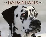 Dalmatians 2013 Wall Calendar